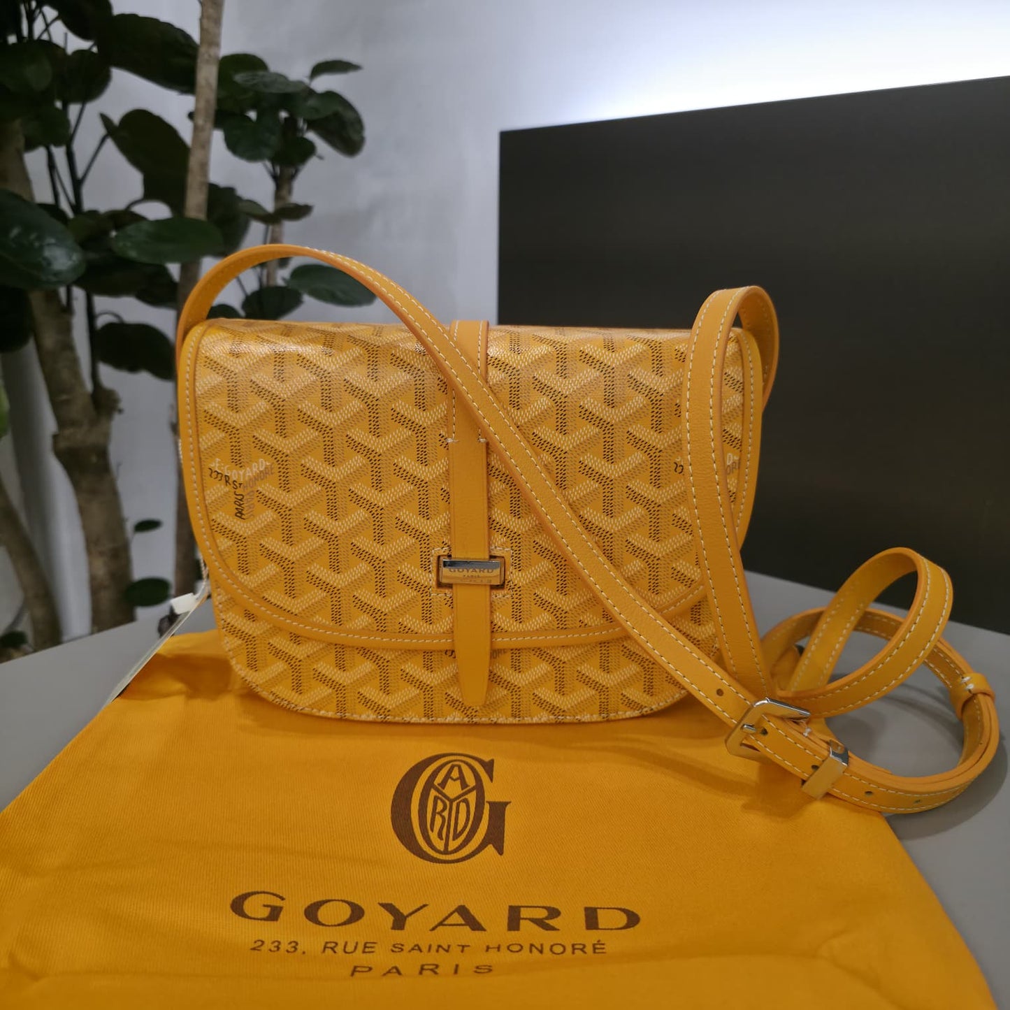 BORSA GOYARD
